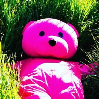 The Pink Bear